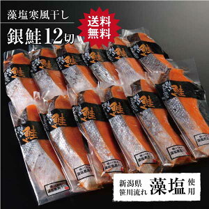  12   TP T[   ؐg ؂g V  Mtg v[g 蕨 p lΉ e d {B O R}XjX Ε