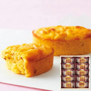 ЂƂƂ ˈ KGB-10 lߍ킹 MtgZbg j Ε N j oYj j  e{ Au TԂ Ԃ  Cj  A @ Mtg v[