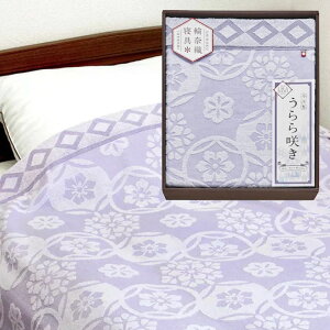 40%OFF y 炫 ^IPbg ITU66080z lߍ킹 j Ε N j oYj j  e{ Au TԂ Ԃ  Cj  A @ Mt