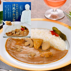 三國清三シェフ監修 洋風チキンカレー MSY-1Y 内祝い お祝い 出産 結婚 快気祝い お歳暮 粗供養 志 お供え 満中陰志 お礼 お見舞い お返し 法事