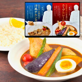 三國清三シェフ監修 洋風チキンカレー＆スープカレーの素セット MSY-2 内祝い お祝い 出産 結婚 快気祝い お歳暮 粗供養 志 お供え 満中陰志 お礼 お見舞い お返し 法事