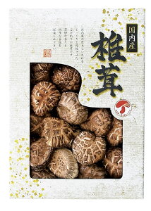 40%OFF Yǂ񂱒ő JMD-20IS lߍ킹 j Ε N j oYj j  e{ Au TԂ Ԃ  Cj  A @ Mtg v[g e