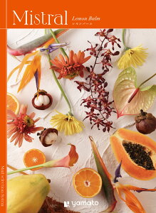 J^OMtg Mistrali~Xgjo[ Iׂ j Ε ފ j  e{ TԂ Ԃ  Cj  @ Mtg v[g ei ii yY