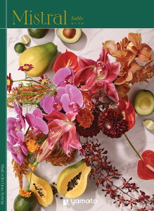 y X[p[SALE 15%OFFzJ^OMtg Mistrali~XgjZ[u Iׂ j Ε N j  e{ Au TԂ Ԃ  Cj  @ Mtg v