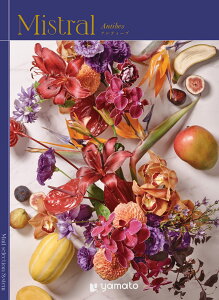 y X[p[SALE 15%OFFzJ^OMtg Mistrali~XgjAeB[u Iׂ j Ε N j  e{ TԂ Ԃ  Cj  @ Mtg v[