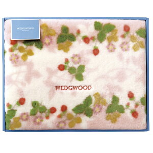 EFbWEbh ChXgx[ ANj[}C[ѕziщHj sN FQ88100051 lߍ킹 MtgZbg j Ε N j oYj j  Au 