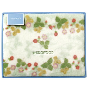 EFbWEbh ChXgx[ ANj[}C[ѕziщHj O[ FQ88100051 lߍ킹 MtgZbg j Ε N j oYj j  A