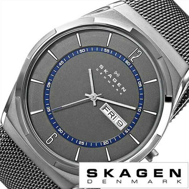 楽天市場】SKAGEN スカーゲン 腕時計 時計 ブランド メンズ アナログ 