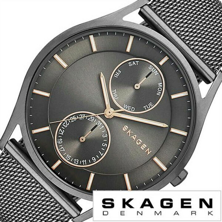楽天市場】スカーゲン 腕時計 SKAGEN 時計 スカーゲン腕時計 SKAGEN 