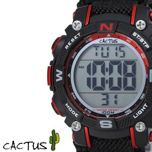 y 29g CACTUS JN^X rv v uh LbY q qǂ LbYrv LbYEHb` qrv qǂrv fW^ Vv ubN y  ^ NmOt A[ 