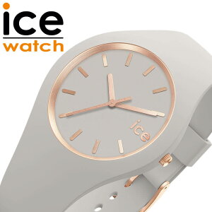�g�����h�J���[ �A�C�X �E�H�b�` �r���v ICE WATCH ���v �A�C�X�E�H�b�` ICEWATCH �O���� �u���b�V�� �E�B���h �X���[�� glam brushed WIND Small ���� ���f�B�[�X ICE-019527 ���킢�� �u�����h �v���[���g 