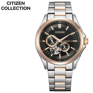 V`Y rv CITIZEN v V`YRNV COLLECTION Y NP1014-77E j ubN Vo[ @B  JjJ I[vn[g   uh v[g Mt