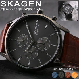 SKAGEN スカーゲン 腕時計 時計 ブランド メンズ メンズ腕時計 アナログ シンプル おしゃれ クロノグラフ メッシュ メッシュベルト 革 本革 革ベルト レザー レザーベルト 男性 男子 大学生 社会人 仕事 ビジネス 夫 旦那 様 主人 父 父親 お父さん 父の日 プレゼント ギフト