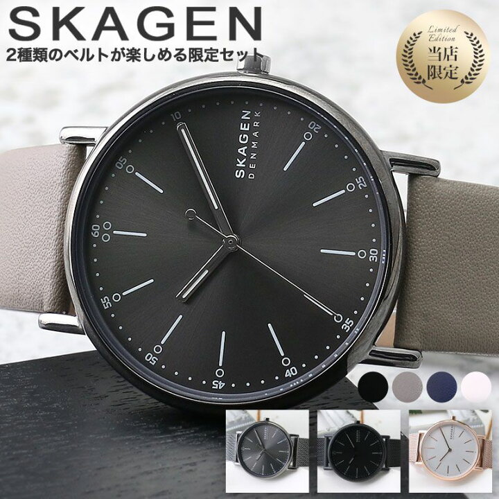 楽天市場】当店限定 スカーゲン メンズ 時計 SKAGEN 腕時計 SIGNATUR 