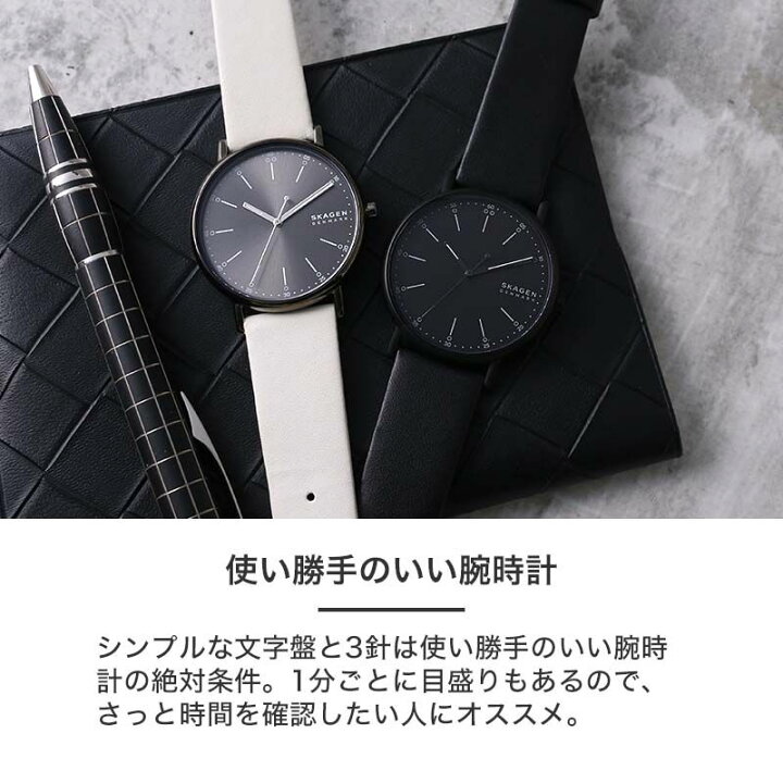 楽天市場】当店限定 スカーゲン メンズ 時計 SKAGEN 腕時計 SIGNATUR 