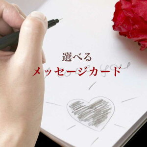 y10ނIׂ郁bZ[WJ[hz񂲗pI MtgJ[h bZ[WJ[h O[fBOJ[h 蕨 v[g n a j Mtg j ̓ hV̓ 