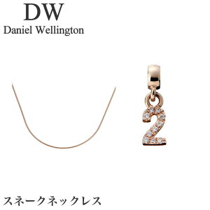 �_�j�G���E�F�����g�� daniel wellington �_�j�G�� �N���X�}�X �v���[���g danielwellington �A�N�Z�T���[ �l�b�N���X �X�e�����X �u�����h ���f�B�[�X �����Y �j�� ���� �`���[�� �S�[���h Number �i��