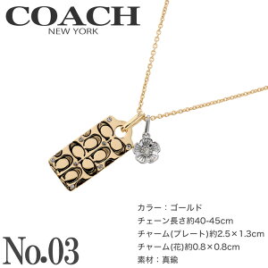 R[` COACH lbNX ANZT[ NX}X v[g y_g uh ANZ `F[ S Vo[ S[h ؚ ׂ  킢 Vv fB[X WG[ o