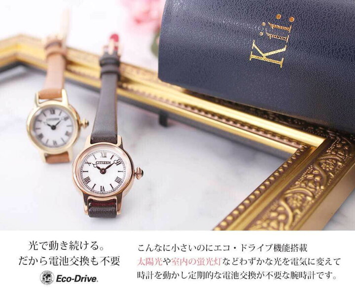 楽天市場】電池交換不要 当店限定セット Kii シチズン 時計 シチズン 