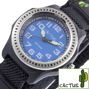 q rv 3 ŵql JN^Xrv CACTUSv CACTUS JN^X v LbYv CAC-45-M03 uh qp 4 5 6 j̎q     a  v[g 