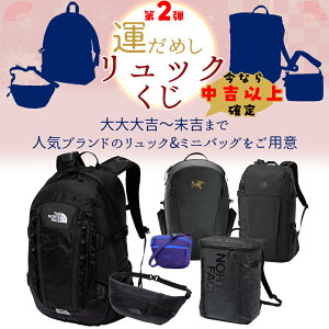 bN  K` 2025 e ^ ݂ bNNW ~jobO Zbg Y ʊw  20L 30L e bNTbN obO NW  UEm[XEtFCX J}[ A[N