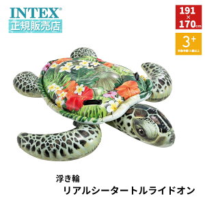 y}\|Cg10{Iz INTEX CebNX   T t[g  AV[^[gChI 191×170cm 57555  v[ C C q eq  V 
