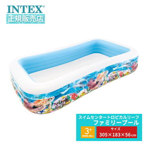 yX[p[SALE125I100%|CgobNz INTEX CebNX ƒpv[ qǂpv[ XCZ^[gsJ[t t@~[v[ 305×183×56cm 58485 U-5307 qp V Lb