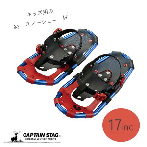 y111|Cg2{Iz LveX^bO Xm[V[ JR LbYp LveX^bO TYPEII 17inc L[obOt y LbY WjA [ X R