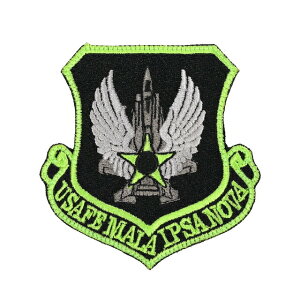 Military Patch�i�~���^���[�p�b�`�jUSAFE MALA IPSA NAVA 495FS [�t�b�N�t��]