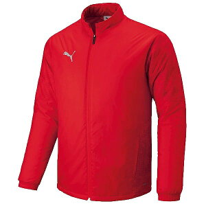 PUMA v[} TEAMCUP pebhE[uWPbg jZbNX Or[ TbJ[ X|[c EBhu[J[ puma 660402