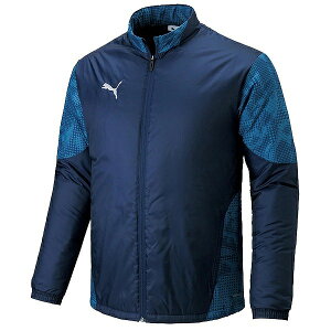 PUMA v[} TEAMCUP pebhE[uWPbg jZbNX Or[ TbJ[ X|[c EBhu[J[ puma 660402