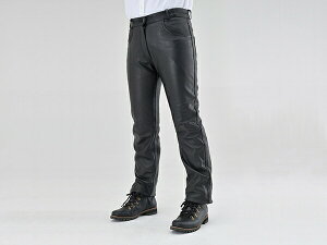 fCgi DL-005 U[pc ubN 17825 DAYTONA