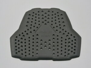 fCgi SAS-TEC veN^[ 99172 DAYTONA