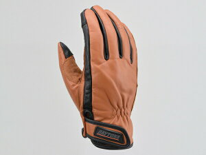 fCgi HBG-109 JEU[O[u uE 17744 DAYTONA