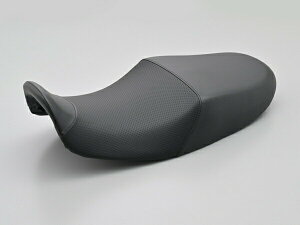 fCgi RCM concept COZYV[g (COMP) fBvbV JTL Z900RS 24329 DAYTONA