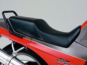 fCgi COZYV[g GPZ900R/750Rp fBvbV/ubN JTL GPZ900R 46169 DAYTONA