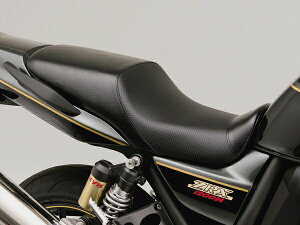 fCgi COZYV[g fBvbV ZRX1200/1100p ubN JTL ZRX1200R 76200 DAYTONA