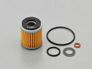 fCgi ICp[tFNgZbg }n WR250R 17985 DAYTONA