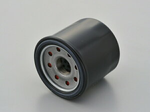 fCgi ICtB^[ J[gbW z_ X-ADV 67926 DAYTONA
