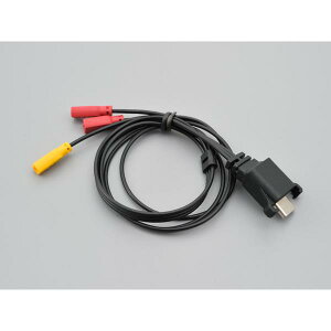 fCgi Type-C Xs[J[P[u (DT-E1pCi) 15124 DAYTONA 