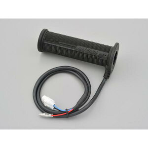 fCgi rgC4SnzbgObv Pi 16023 DAYTONA 