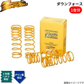 ダウンサス アストラ(AH) AH04Z20 オペル 2004/03〜 Z20 2.0L TURBO ダウンフォース 1台分 ZOOM ZOP001002SDF