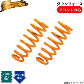 ダウンサス アストラ(AH) AH04Z20 オペル 2004/03〜 Z20 2.0L TURBO ダウンフォース フロントのみ ZOOM