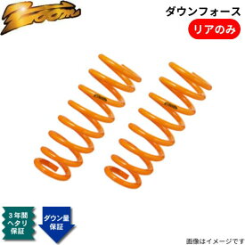 ダウンサス アストラ(AH) AH04Z20 オペル 2004/03〜 Z20 2.0L TURBO ダウンフォース リアのみ ZOOM