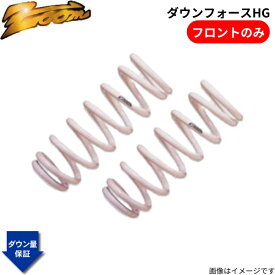 ダウンサス カローラフィールダー CE121G トヨタ H12/08〜H18/10 3C-E 2WD 2.2L ディーゼル ダウンフォースHG フロントのみ ZOOM