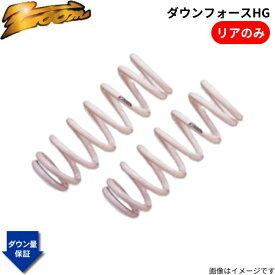 ダウンサス カローラフィールダー CE121G トヨタ H12/08〜H18/10 3C-E 2WD 2.2L ディーゼル ダウンフォースHG リアのみ ZOOM