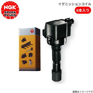 COjbVRC NGK NTX RCF USC10 NTX 90919-02260 8{Zbg 1䕪 U5166×8