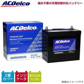 バッテリー ラッシュ J210E トヨタ ACデルコ プレミアムAMS 標準仕様 AMS44B19L カーバッテリー 電池 1個 ACDelco