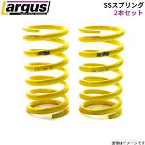 �X�v�����O �����O�X 62��SS�X�v�����O 2�{�Z�b�g ���R��:120mm 12K �o�l LARGUS