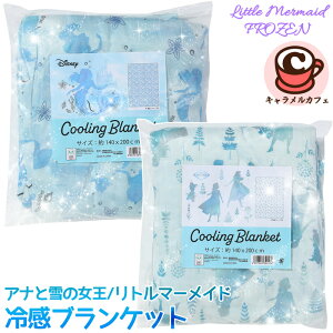 yDisneyzLN^[ ⊴ uPbg 140x200cm 73226fBYj[vZX AiƐ̏ g}[Ch AG GT It VO ӂƂ  zc TT 킢  